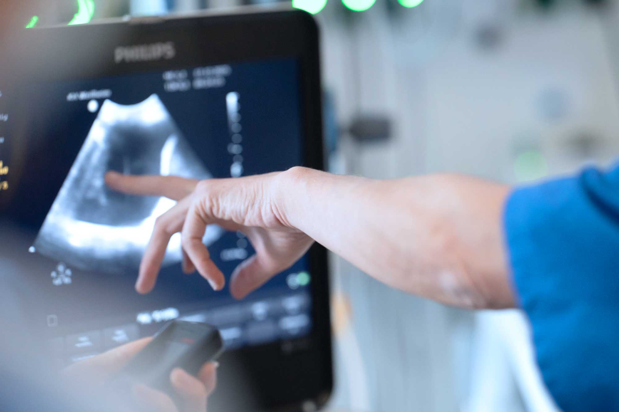 image column 1 widget_1768818713598