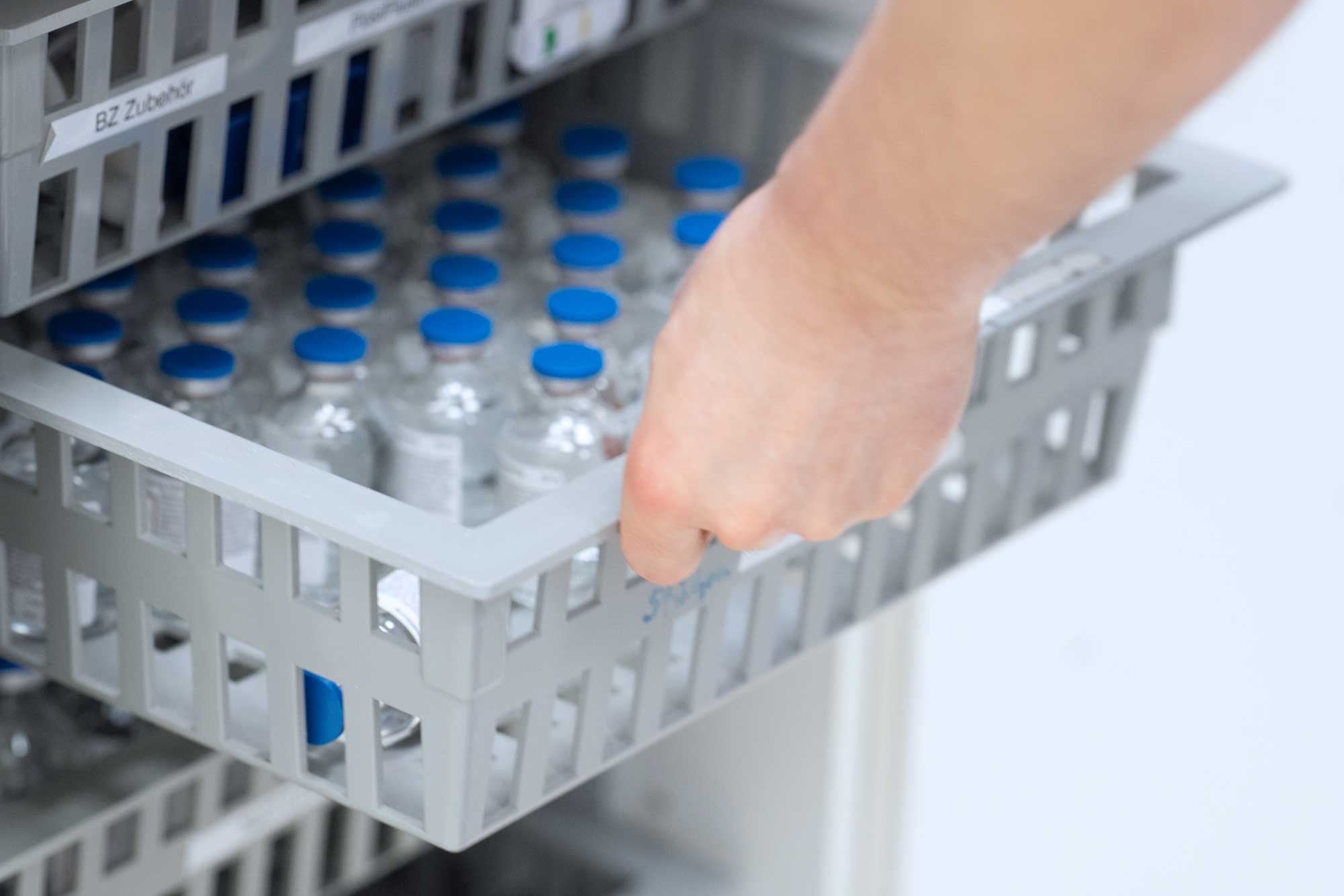 image column 2 widget_1768923404134