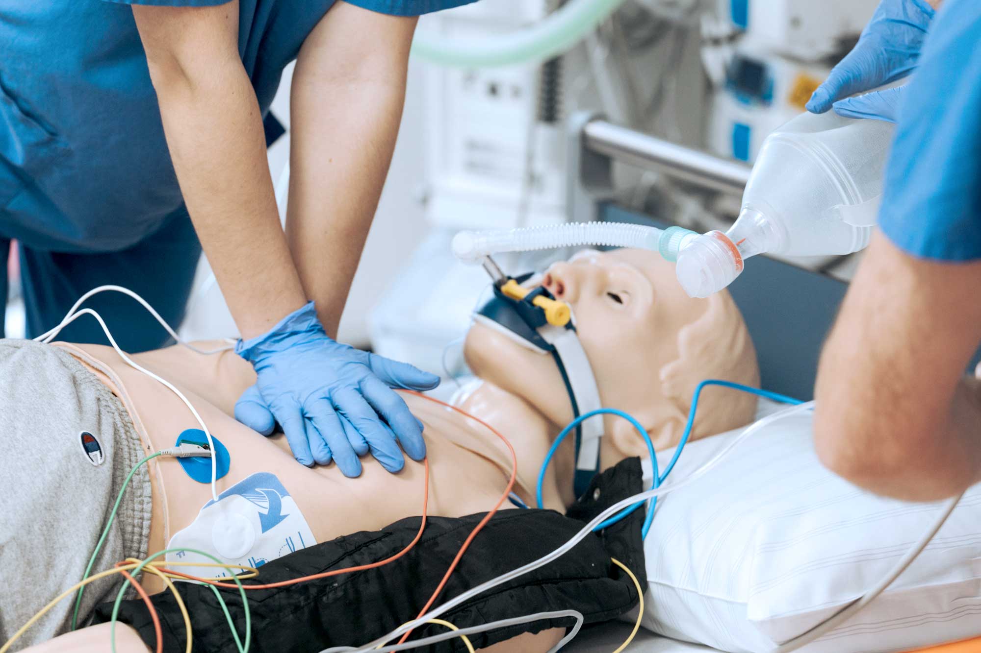 image column 1 widget_1770626157695