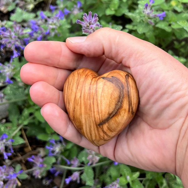 image column 2 widget_1619258810072